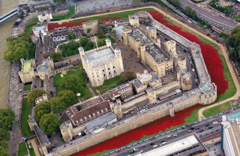 Tower & Poppies